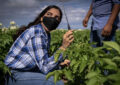 Mujeres en carreras STEM: el futuro de México