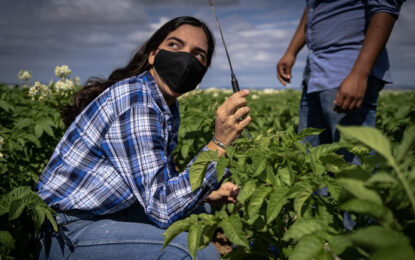 Mujeres en carreras STEM: el futuro de México