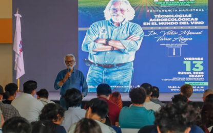 La carga fiscal asfixia a la vitivinicultura mexicana y frena su crecimiento frente al mundo