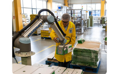 Cobots en la paletización: eficiencia, ergonomía y productividad en línea