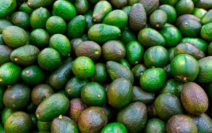 Aranceles y medidas unilaterales impactan precios y logística en el sector agroalimentario: Tec de Monterrey