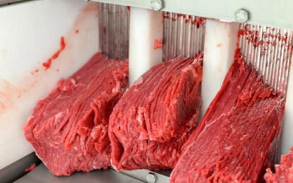 Productores de carne llaman a intensificar liberación de moscas estériles para frenar al gusano barrenador