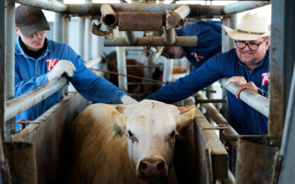 CNA reconoce labor de SENASICA en la contención del Gusano Barrenador del Ganado