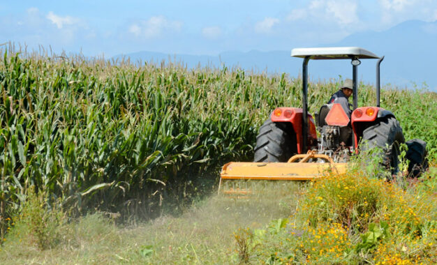 CNA reconoce acciones contra la extorsión que afectan al sector agroalimentario