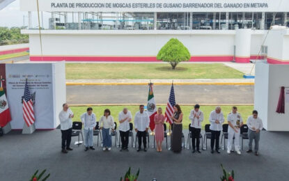 La nueva planta de moscas estériles será decisiva para erradicar al gusano barrenador: CNA